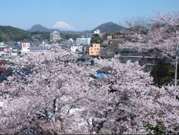 Hotel Kameya Ean à Izunokuni Extérieur photo